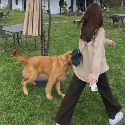 黑暗正义联盟